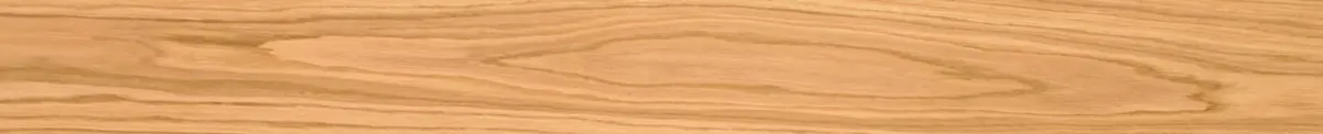 Format 1900 × 190 × 14 mm