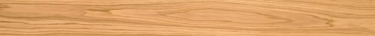 Format 2200 × 260 × 15 mm