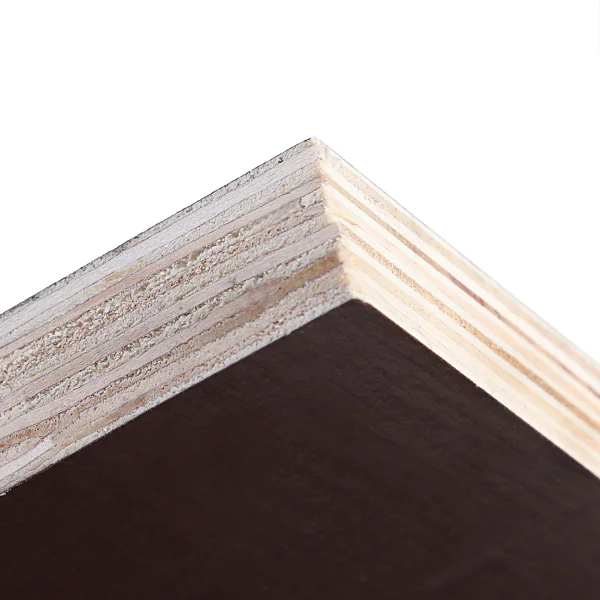 europ-film-film-birke_detail.webp