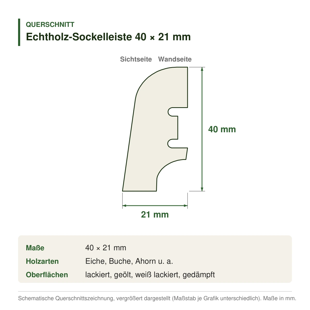 Echtholz-Sockelleiste 40 × 21 mm in mehreren Holzarten – Querschnitt mit Maßen (Zeichnung)
