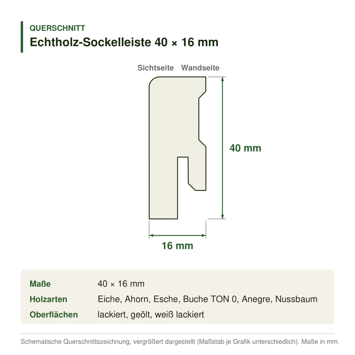 Echtholz-Sockelleiste 40 × 16 mm in mehreren Holzarten – Querschnitt mit Maßen (Zeichnung)