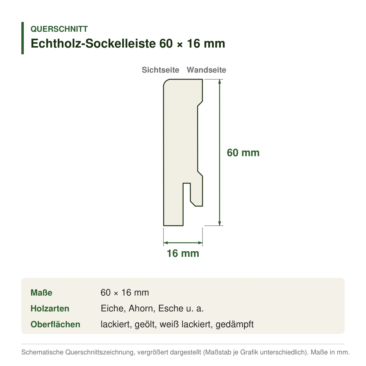 Echtholz-Sockelleiste 60 × 16 mm in mehreren Holzarten – Querschnitt mit Maßen (Zeichnung)