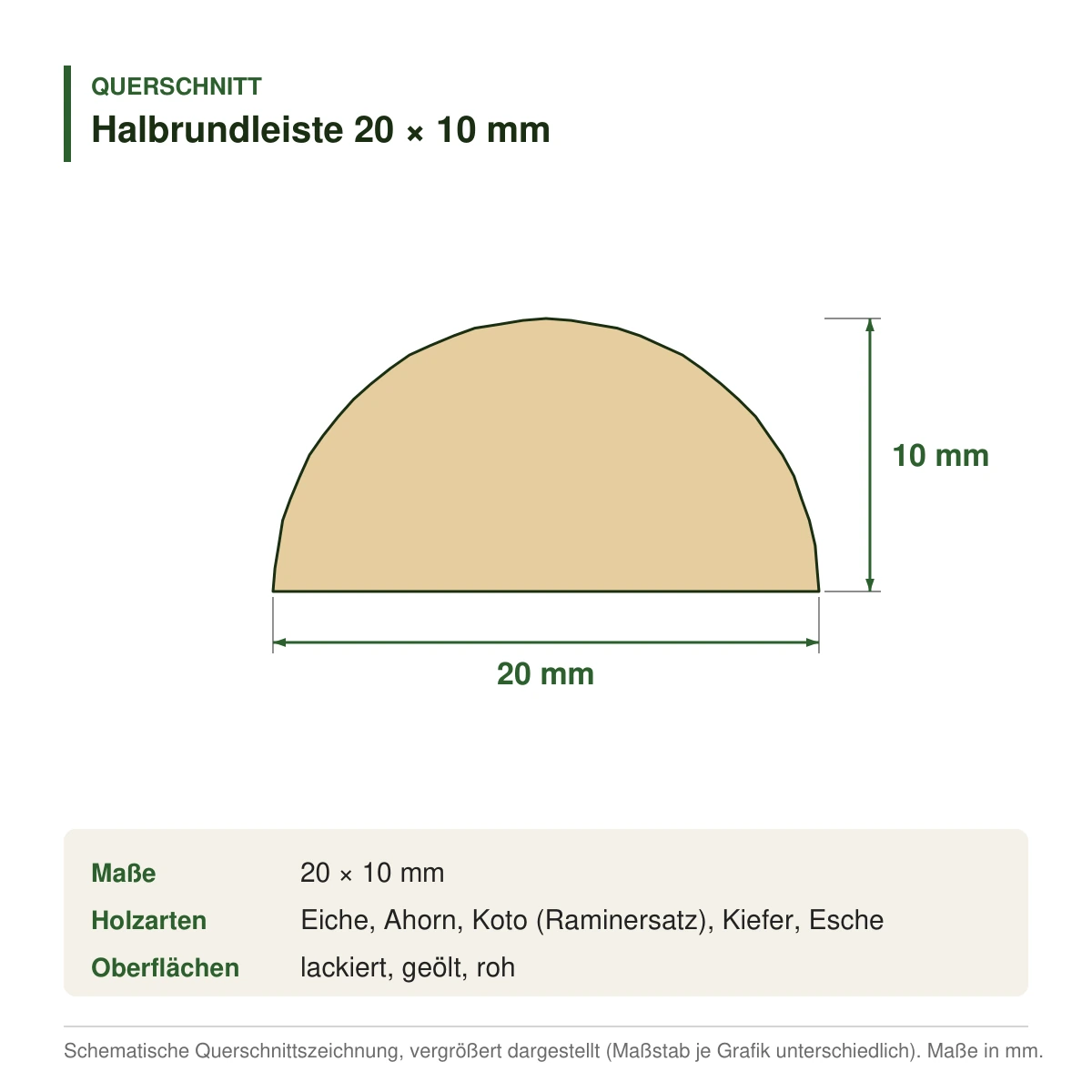 Halbrundleiste 20 × 10 mm in mehreren Holzarten – Querschnitt mit Maßen (Zeichnung)