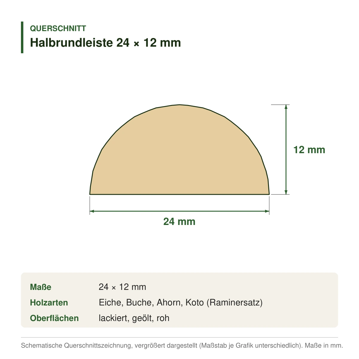Halbrundleiste 24 × 12 mm in mehreren Holzarten – Querschnitt mit Maßen (Zeichnung)