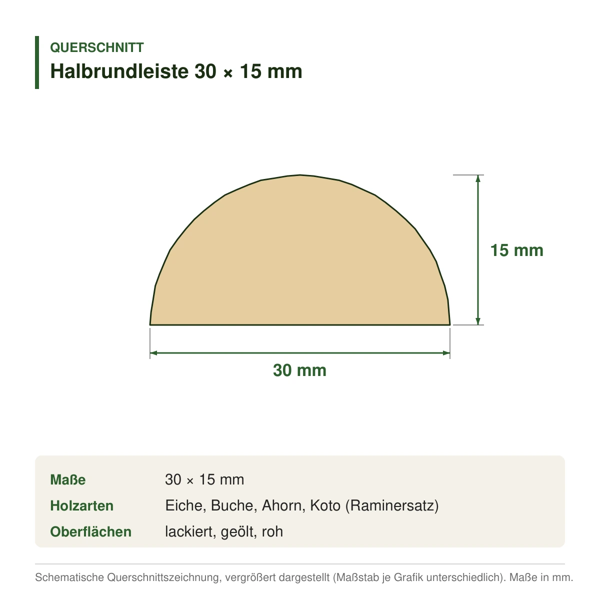Halbrundleiste 30 × 15 mm in mehreren Holzarten – Querschnitt mit Maßen (Zeichnung)