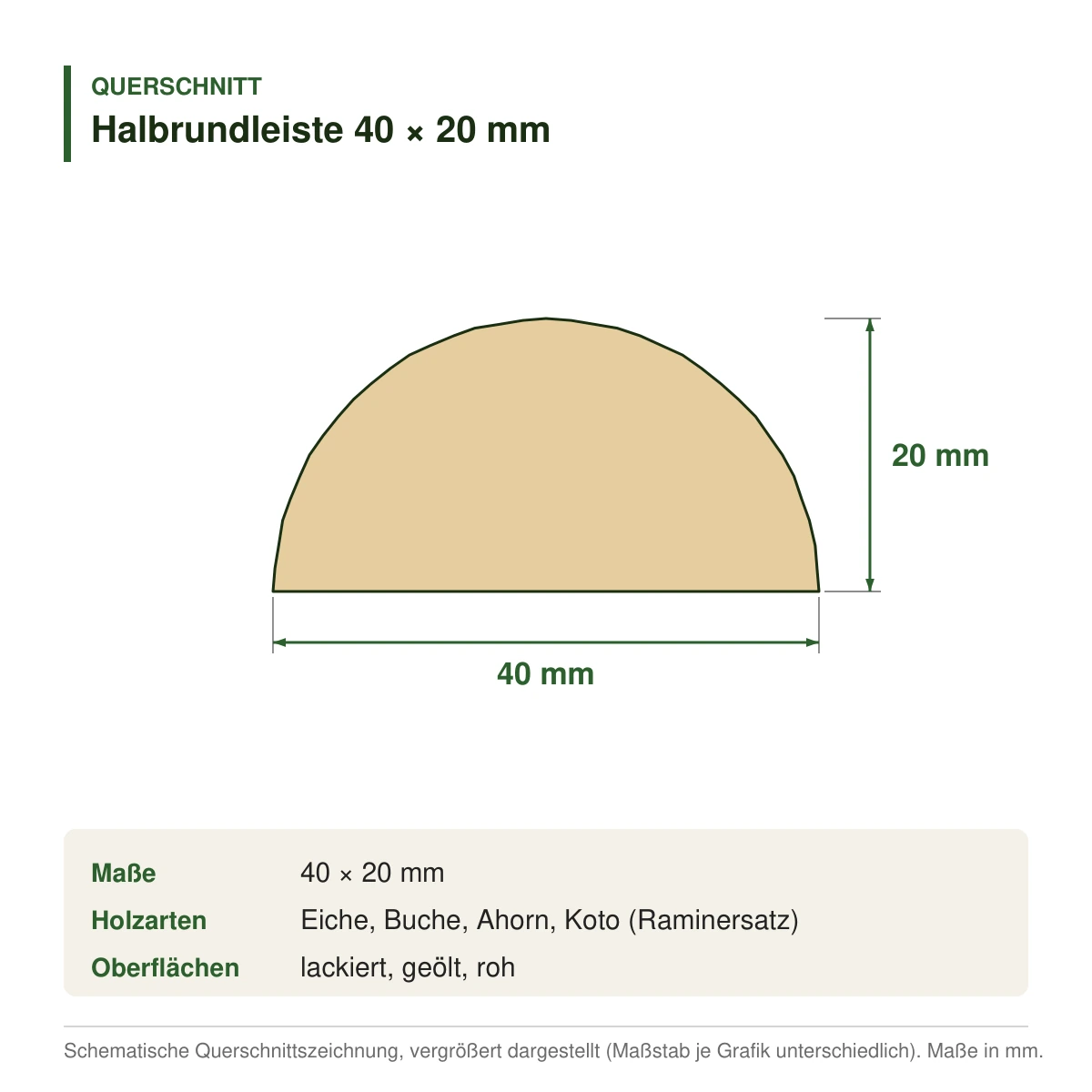 Halbrundleiste 40 × 20 mm in mehreren Holzarten – Querschnitt mit Maßen (Zeichnung)