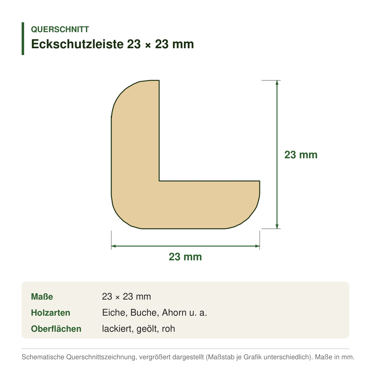 Eckschutzleiste 23 × 23 mm in mehreren Holzarten – Querschnitt mit Maßen (Zeichnung)