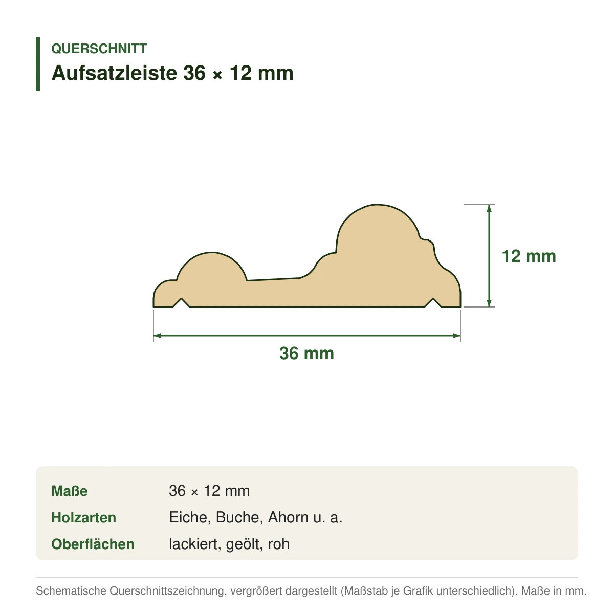 Aufsatzleiste 36 × 12 mm in mehreren Holzarten – Querschnitt mit Maßen (Zeichnung)