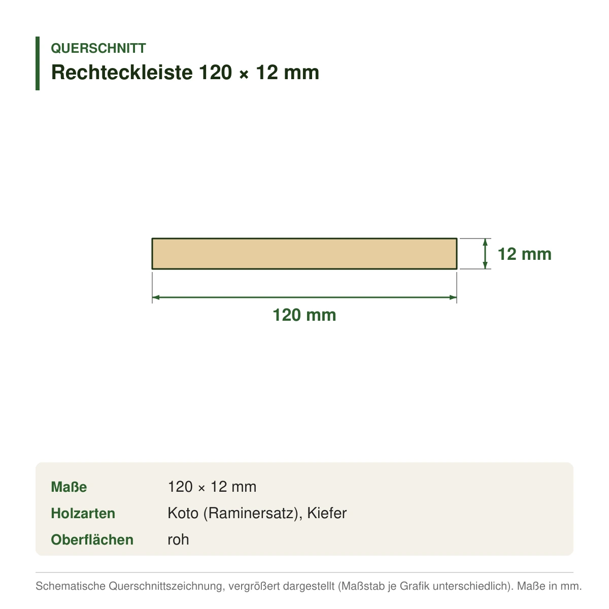 Rechteckleiste 120 × 12 mm aus Koto (Raminersatz) oder Kiefer – Querschnitt mit Maßen (Zeichnung)