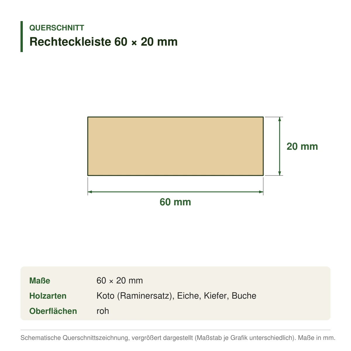 Rechteckleiste 60 × 20 mm in mehreren Holzarten – Querschnitt mit Maßen (Zeichnung)