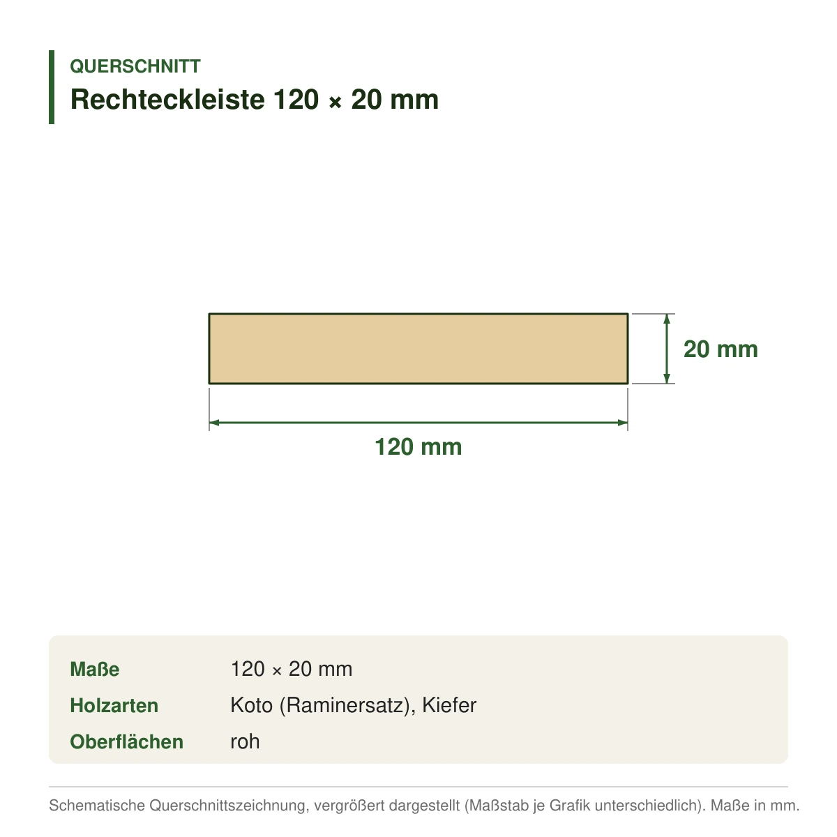 Rechteckleiste 120 × 20 mm aus Koto (Raminersatz) oder Kiefer – Querschnitt mit Maßen (Zeichnung)