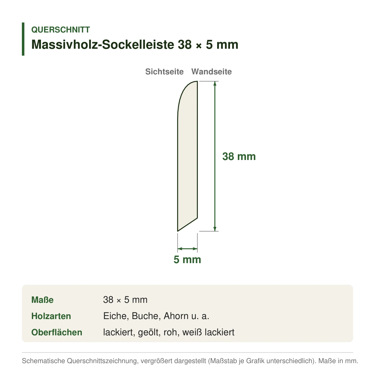 Massivholz-Sockelleiste 38 × 5 mm in mehreren Holzarten – Querschnitt mit Maßen (Zeichnung)