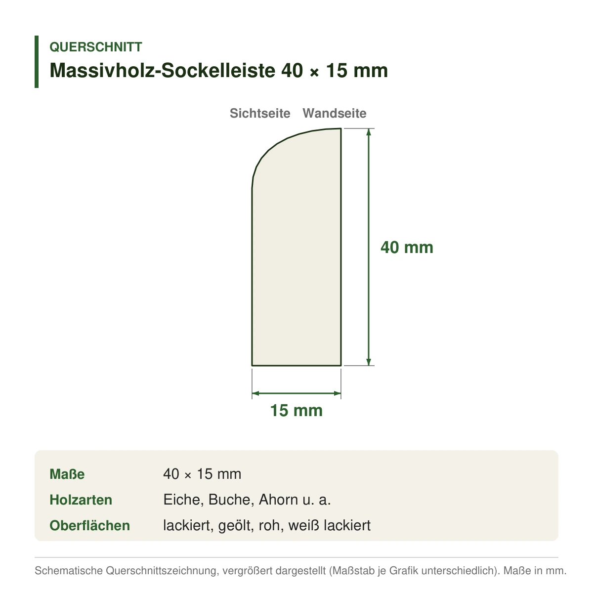 Massivholz-Sockelleiste 40 × 15 mm in mehreren Holzarten – Querschnitt mit Maßen (Zeichnung)