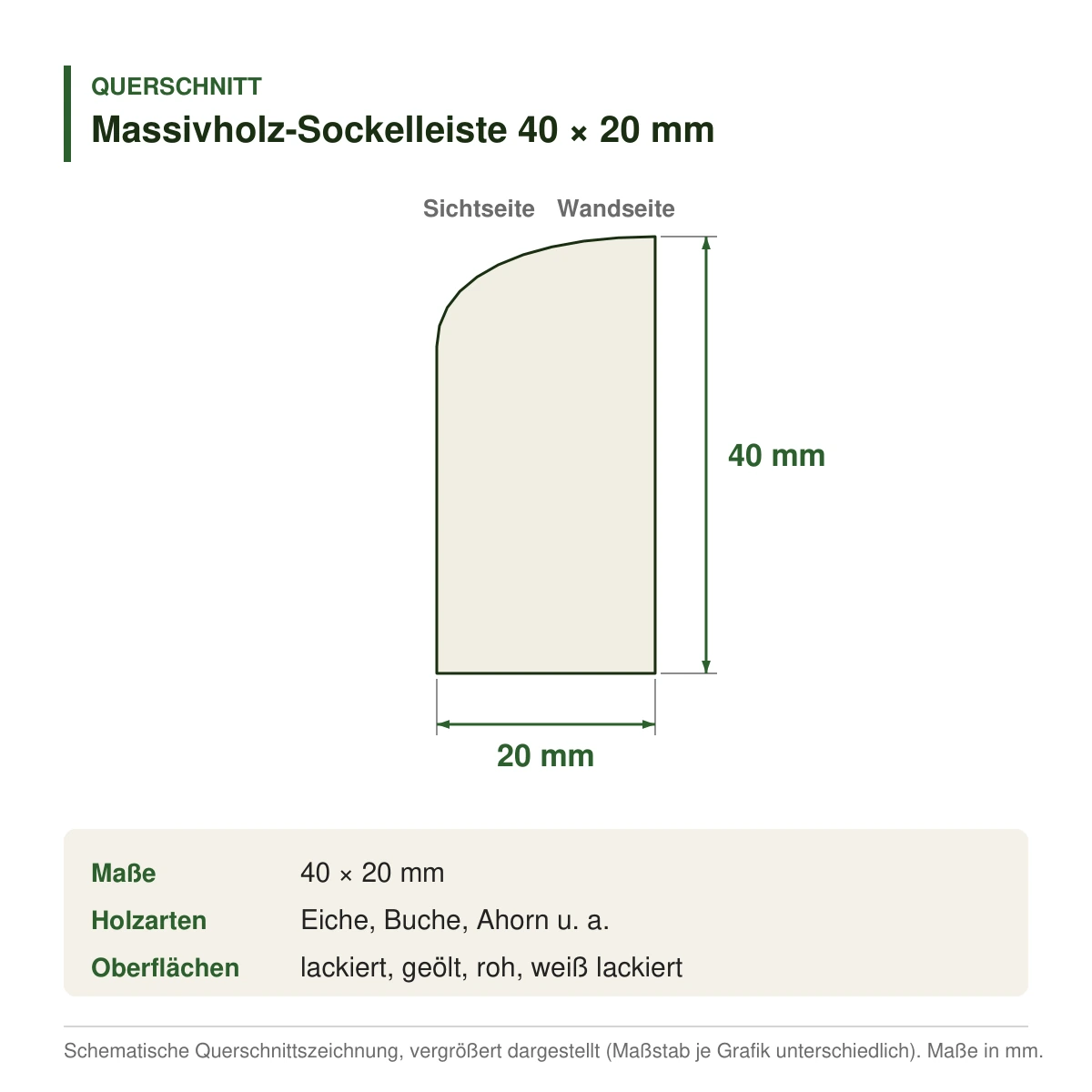 Massivholz-Sockelleiste 40 × 20 mm in mehreren Holzarten – Querschnitt mit Maßen (Zeichnung)