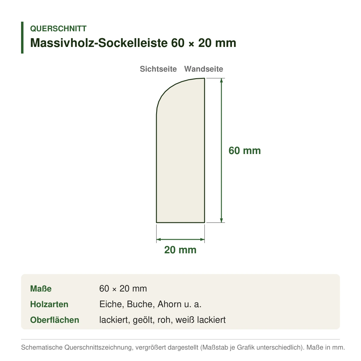Massivholz-Sockelleiste 60 × 20 mm in mehreren Holzarten – Querschnitt mit Maßen (Zeichnung)