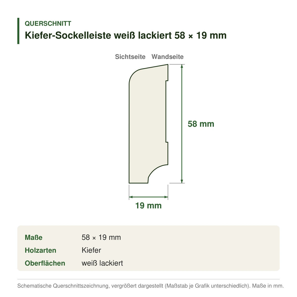 Kiefer-Sockelleiste weiß lackiert 58 × 19 mm – Querschnitt mit Maßen (Zeichnung)