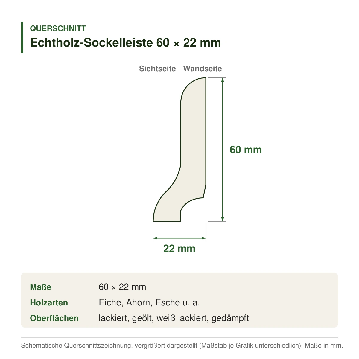 Echtholz-Sockelleiste 60 × 22 mm in mehreren Holzarten – Querschnitt mit Maßen (Zeichnung)