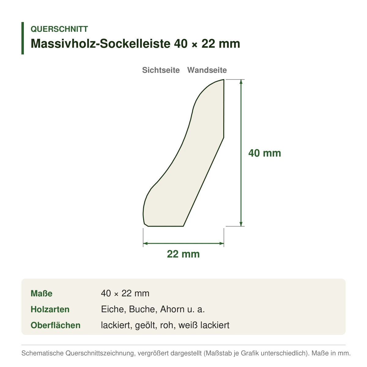 Massivholz-Sockelleiste 40 × 22 mm in mehreren Holzarten – Querschnitt mit Maßen (Zeichnung)