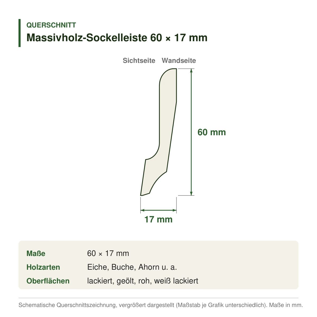 Massivholz-Sockelleiste 60 × 17 mm in mehreren Holzarten – Querschnitt mit Maßen (Zeichnung)