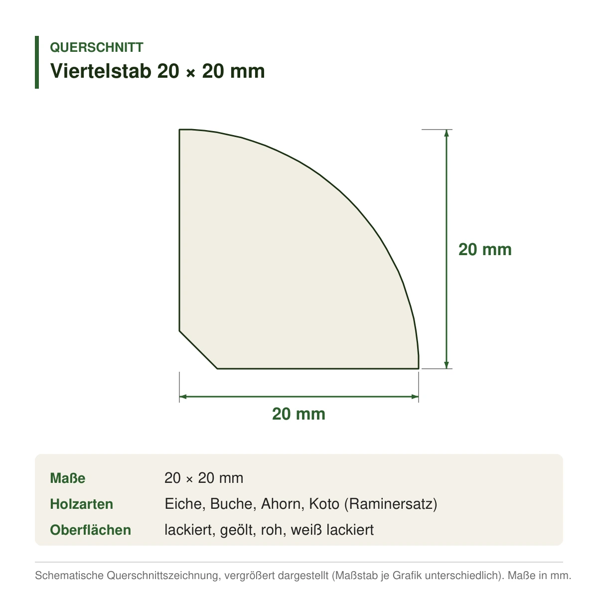 Viertelstab 20 × 20 mm in mehreren Holzarten – Querschnitt mit Maßen (Zeichnung)