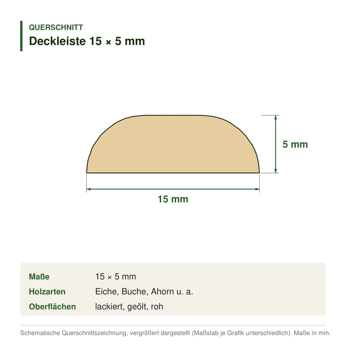 Deckleiste 15 × 5 mm in mehreren Holzarten – Querschnitt mit Maßen (Zeichnung)