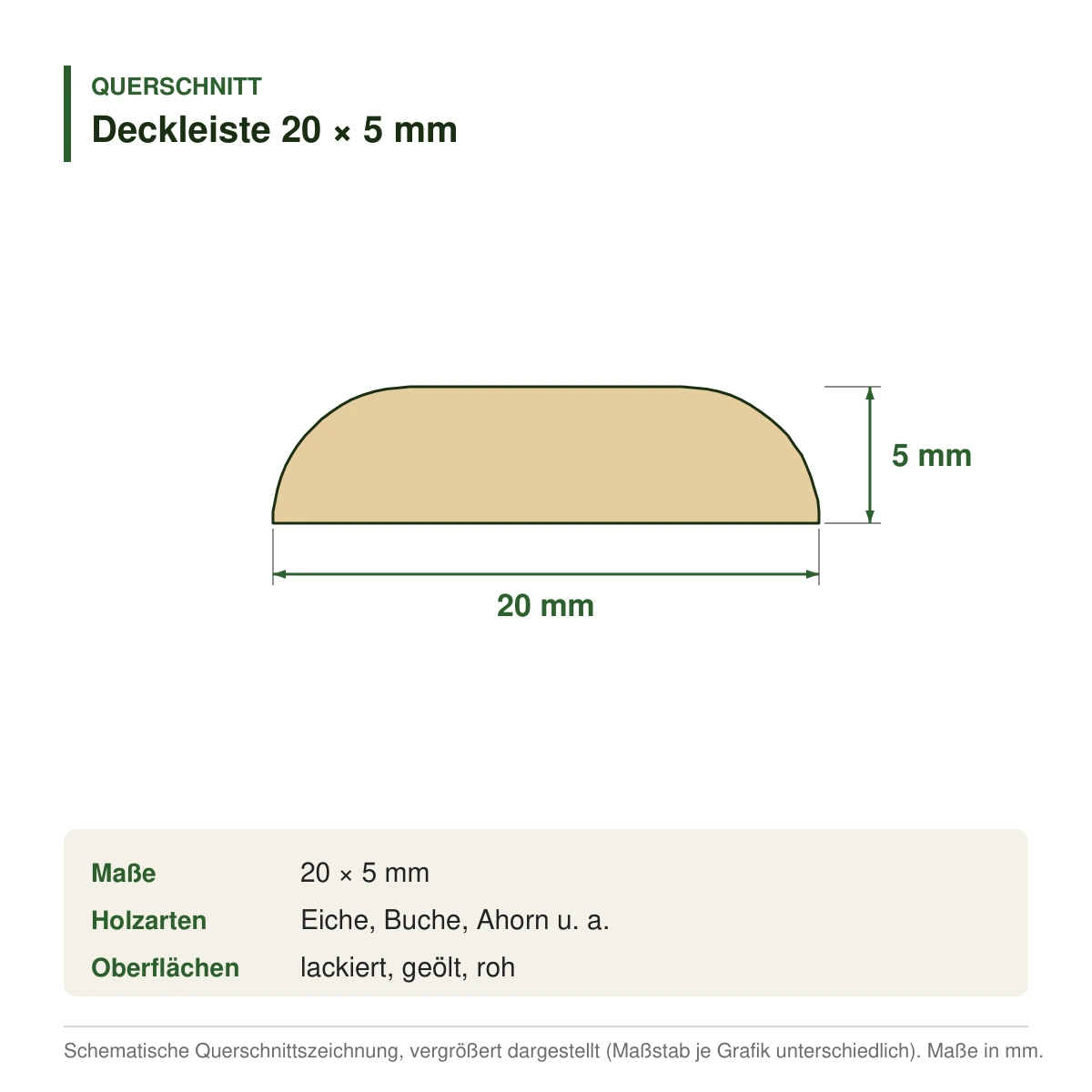 Deckleiste 20 × 5 mm in mehreren Holzarten – Querschnitt mit Maßen (Zeichnung)