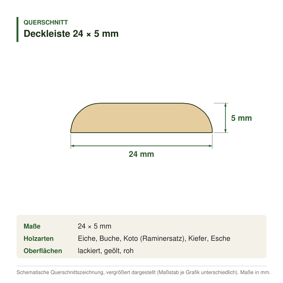 Deckleiste 24 × 5 mm in mehreren Holzarten – Querschnitt mit Maßen (Zeichnung)