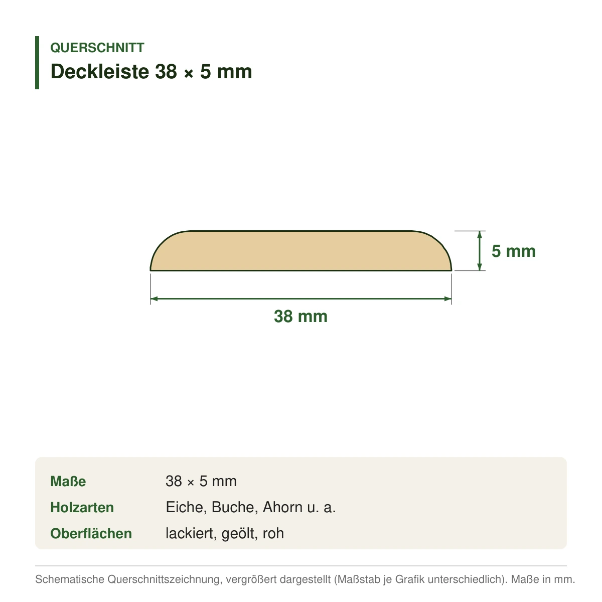 Deckleiste 38 × 5 mm in mehreren Holzarten – Querschnitt mit Maßen (Zeichnung)