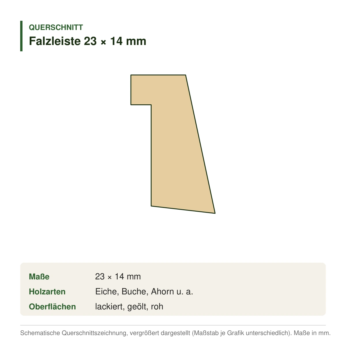 Falzleiste 23 × 14 mm in mehreren Holzarten – Querschnitt (Zeichnung)