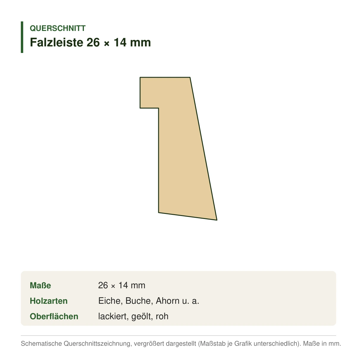Falzleiste 26 × 14 mm in mehreren Holzarten – Querschnitt (Zeichnung)