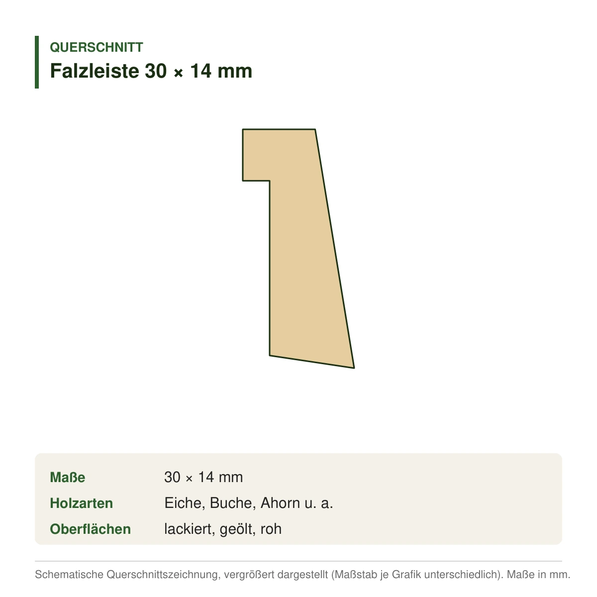 Falzleiste 30 × 14 mm in mehreren Holzarten – Querschnitt (Zeichnung)