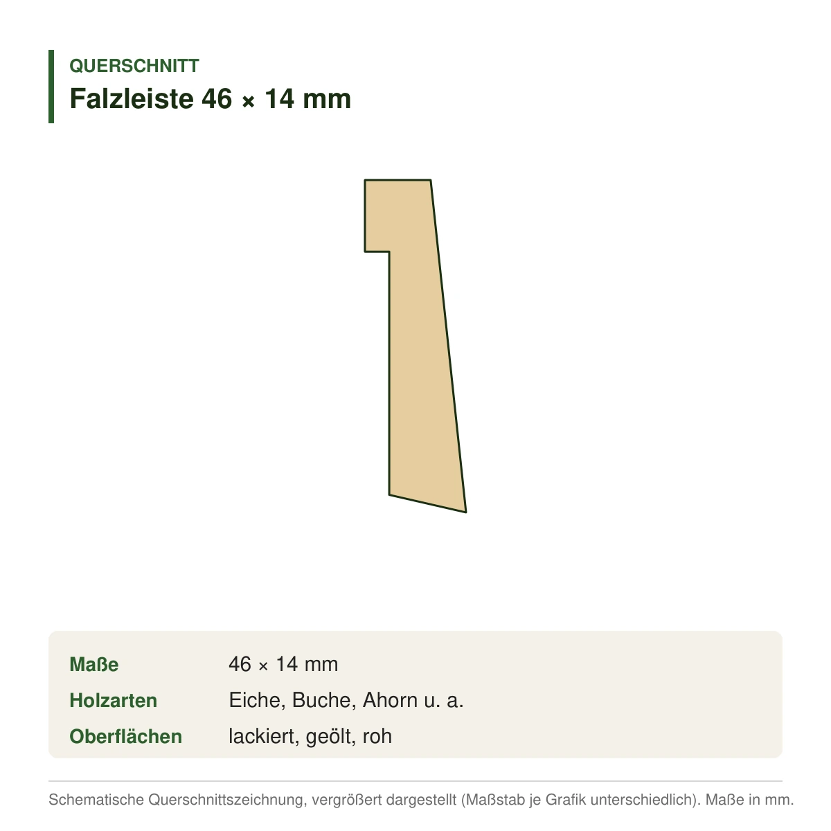Falzleiste 46 × 14 mm in mehreren Holzarten – Querschnitt (Zeichnung)