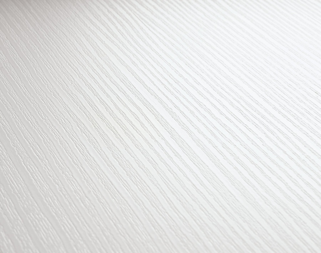 20095_terra_DP250_Makro - Meister Dekorbezeichnung: White ash 20098, Maße: 3300 x 250 x 12 mm