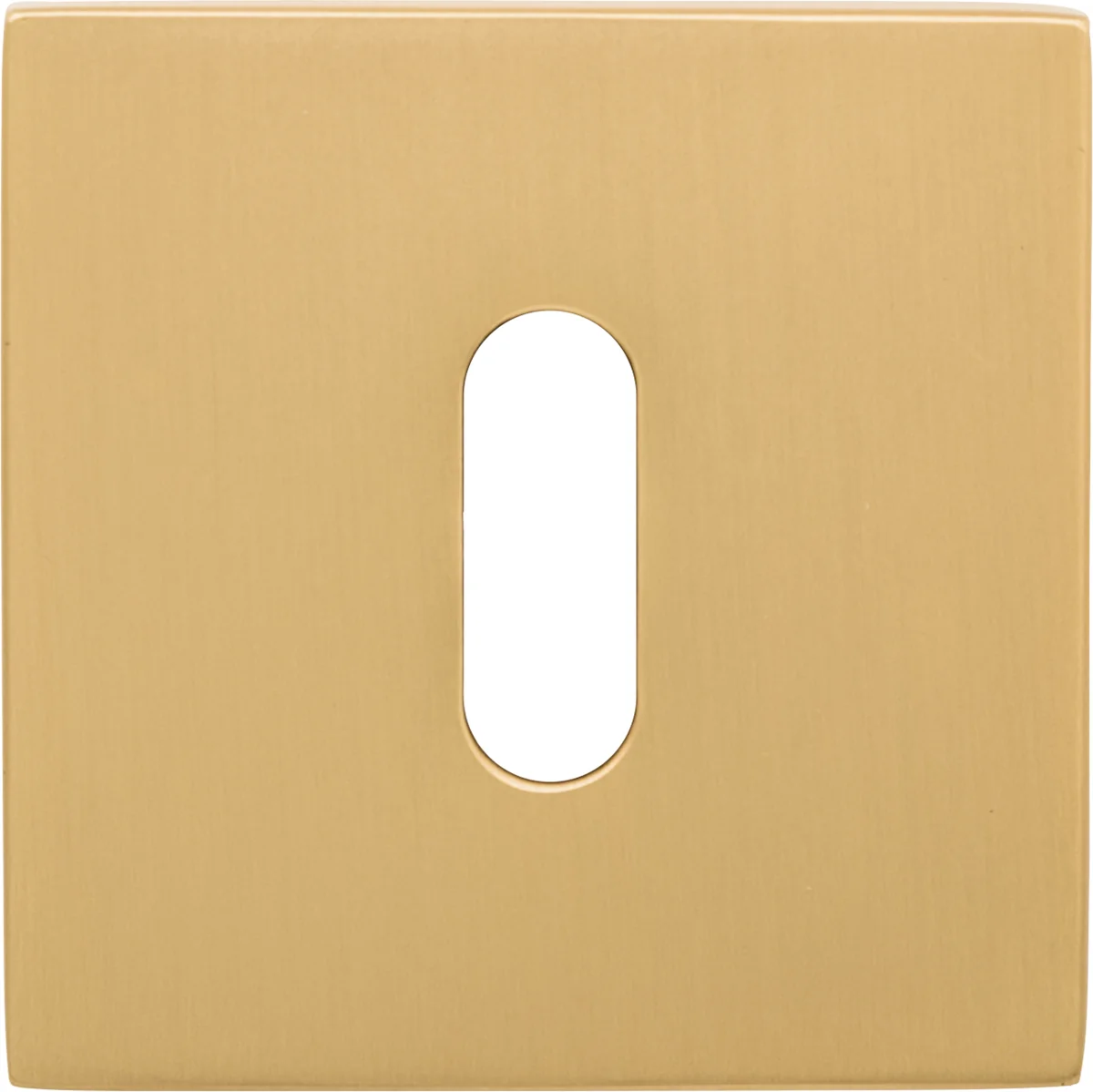 [ZB3683BB] Griffwelt Design Rosette Square (Gold matt, Buntbart)