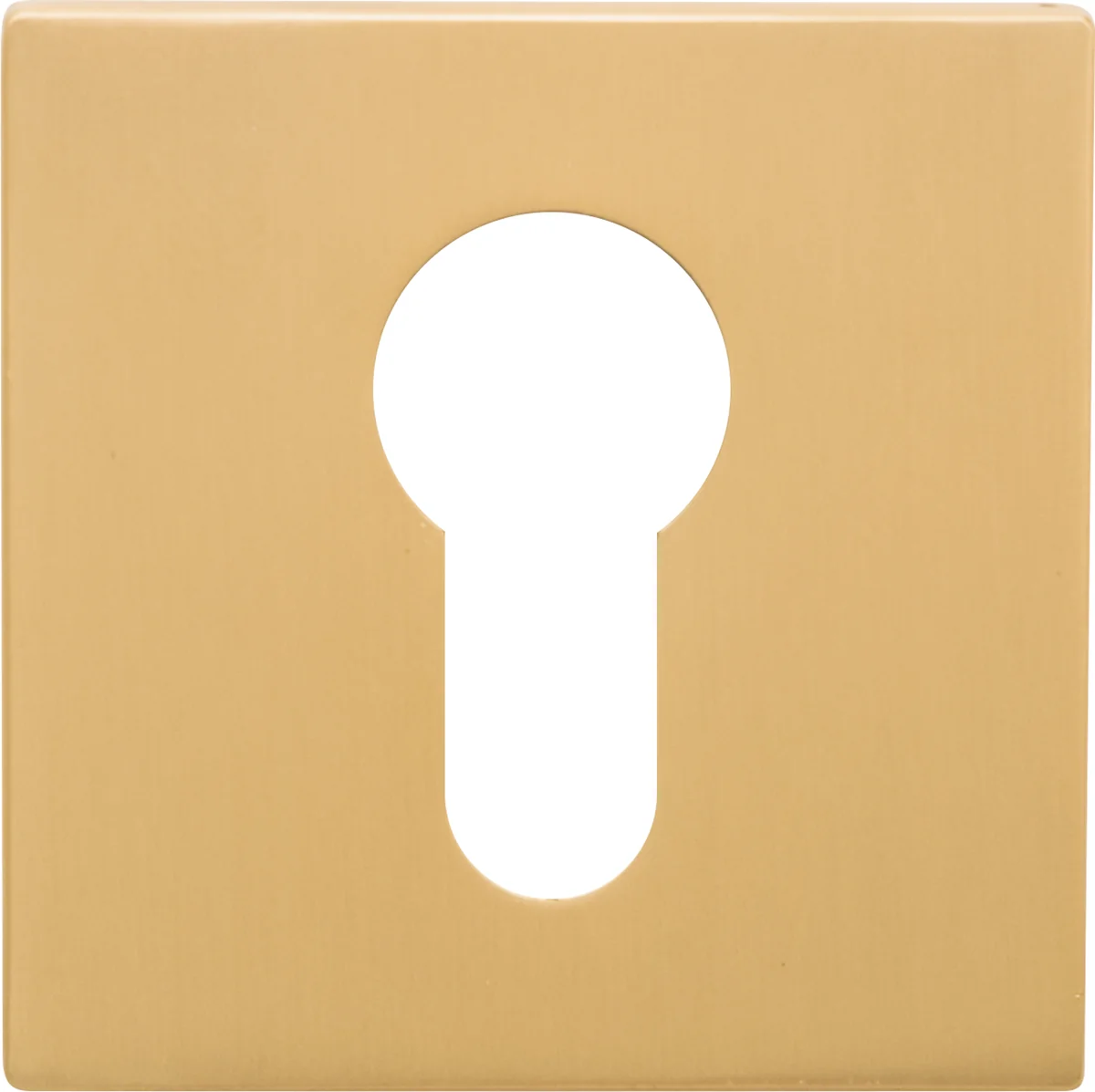 [ZB3684PZ] Griffwelt Design Rosette Square (Gold matt, Profilzylinder)