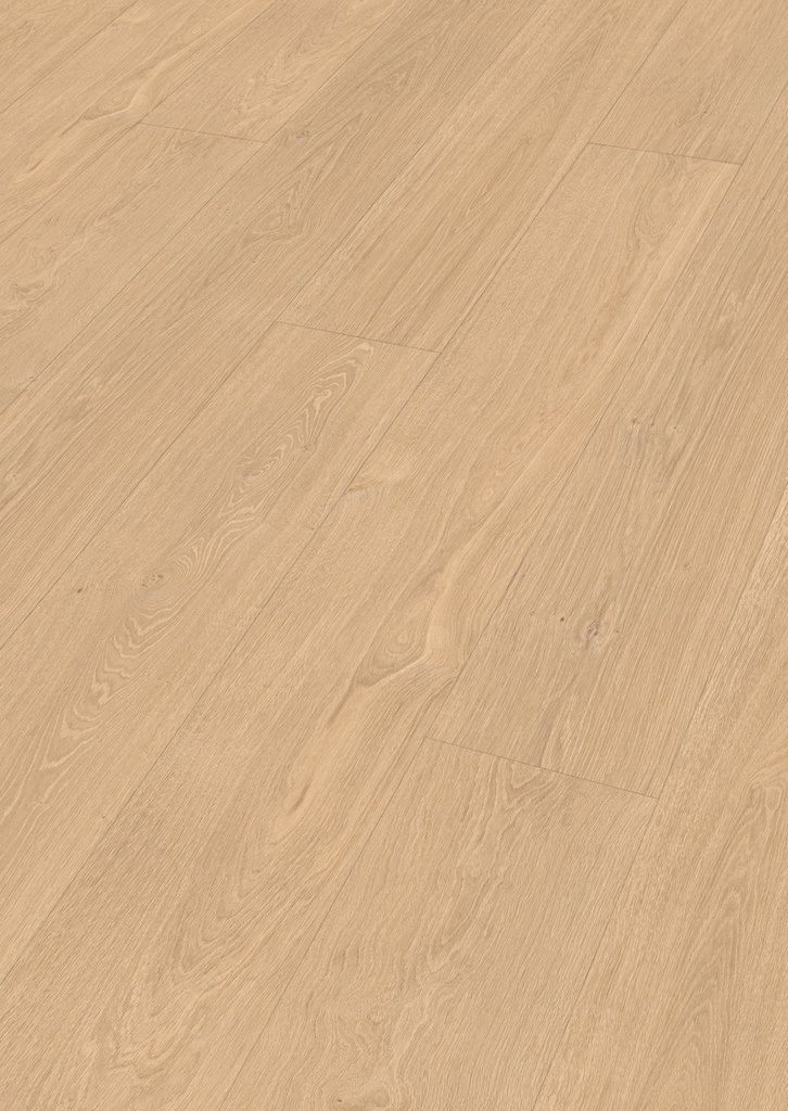 MeisterDesign. laminate LL 250 - Meister Dekorbezeichnung: Taleiche hell 07144