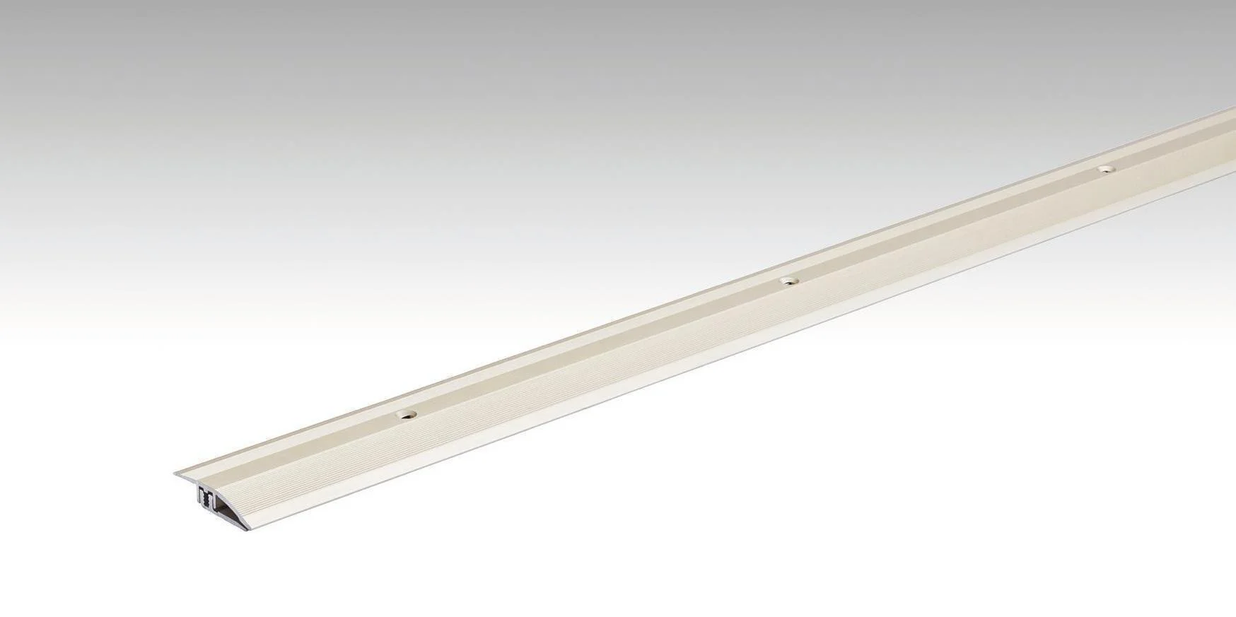 Meister Anpassungsprofil Typ 100 (2,5 bis 7 mm) - Oberfläche: Sand eloxiert, Länge (mm): 1000 mm