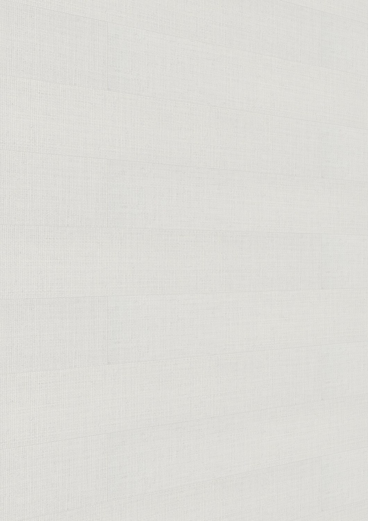 Meister Paneele "Bocado 250" - Meister Dekorbezeichnung: Warm cotton 20104, Maße: 3300 x 250 x 12 mm