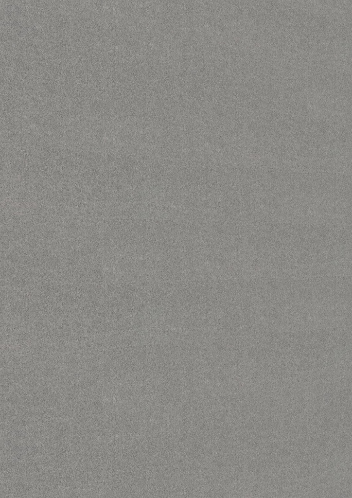 Meister Paneele "Bocado 250" - Meister Dekorbezeichnung: Vlies grau 20105, Maße: 4100 x 250 x 12 mm
