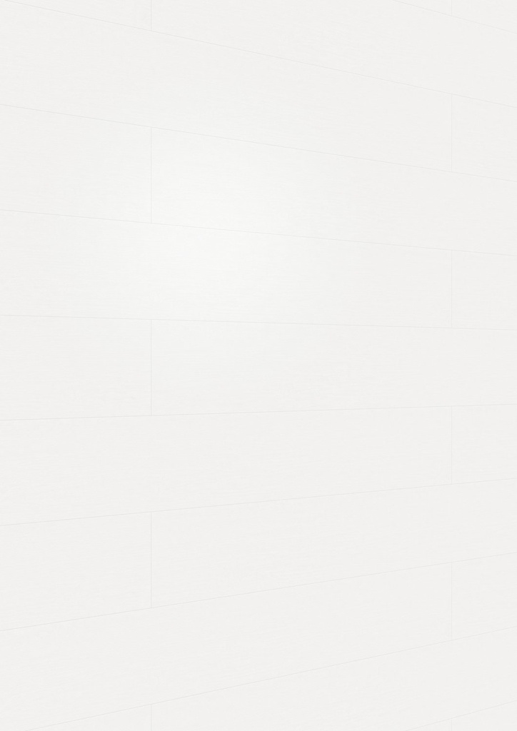 Meister Paneele "Terra DP 250" - Meister Dekorbezeichnung: Vintage white  20099, Maße: 3300 x 250 x 12 mm