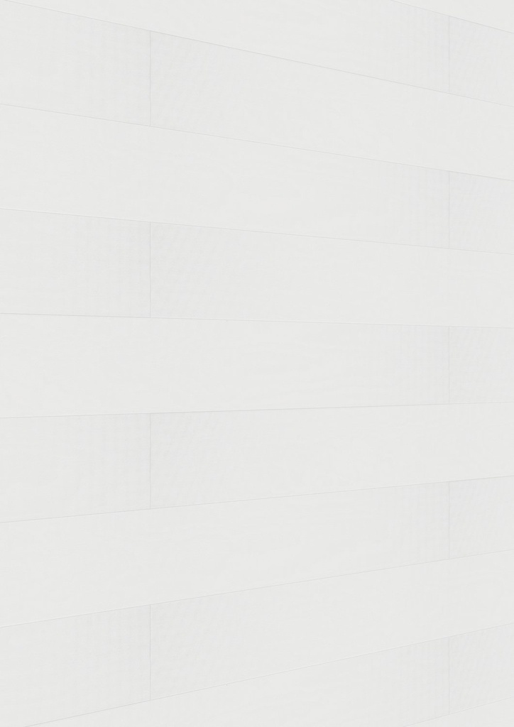 Meister Paneele "Terra DP 250" - Meister Dekorbezeichnung: White mesh 20101, Maße: 2050 x 250 x 12 mm