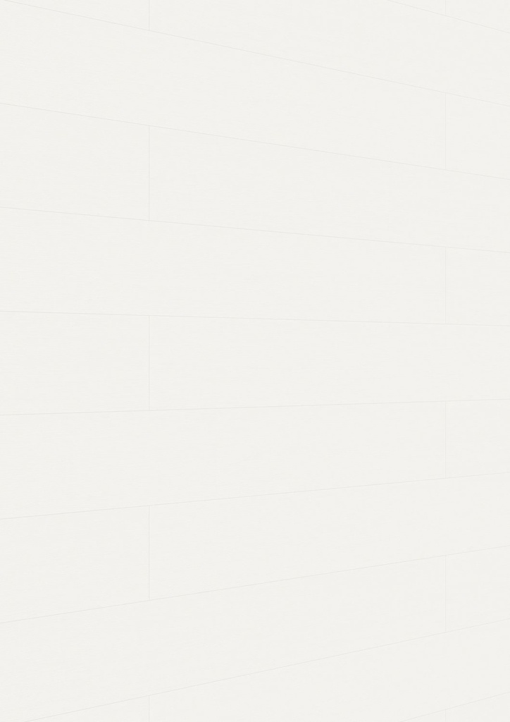 Meister Paneele "Terra DP 250" - Meister Dekorbezeichnung: Snow white wood 20102, Maße: 2050 x 250 x 12 mm