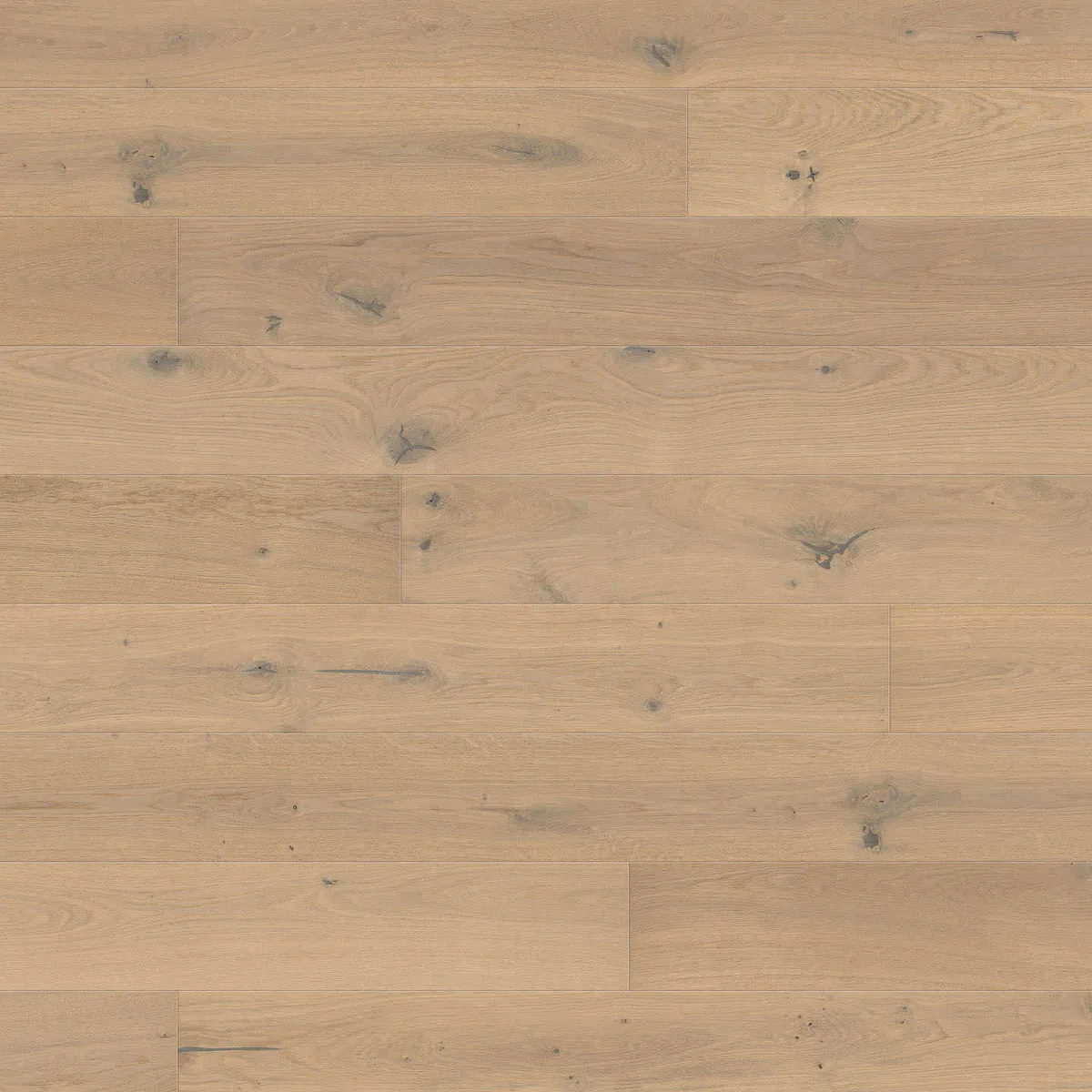 HARO Landhausdiele 180 Serie 4000 – 3-Schicht-Parkett 13,5 mm, Eiche lichtweiß Sauvage, naturaLin plus