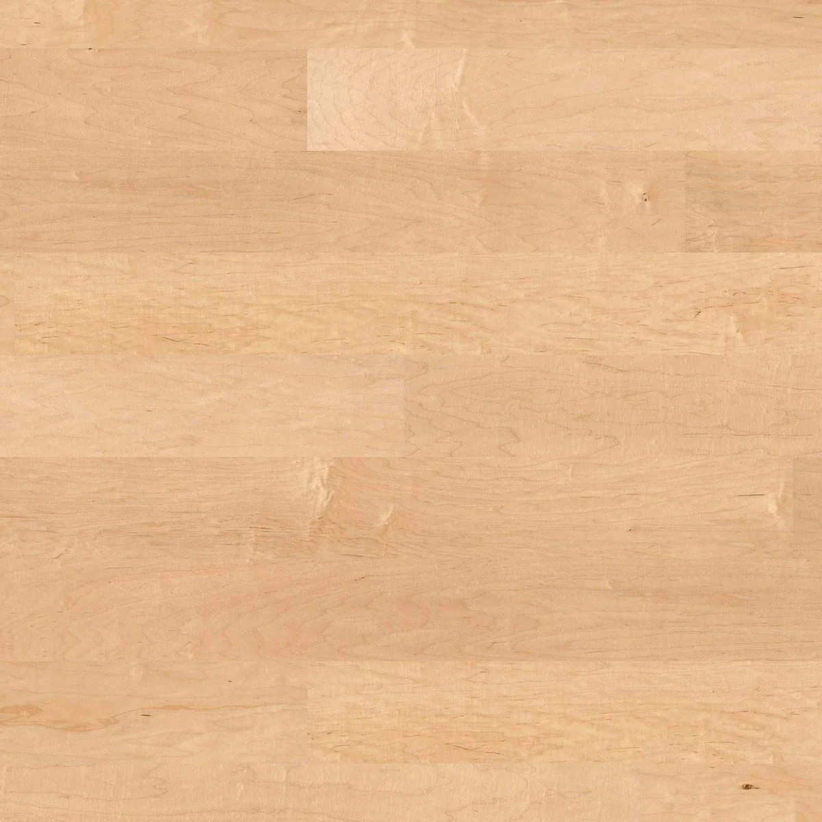 HARO Landhausdiele 180 Serie 4000 – 3-Schicht-Parkett 13,5 mm, Canadischer Ahorn Markant, naturaDur