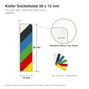 Stark Kiefer Sockelleiste (Fußleiste) in RAL-Wunschfarbe