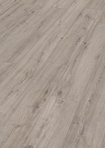 MeisterDesign. flex DD 400, Felseneiche 06889