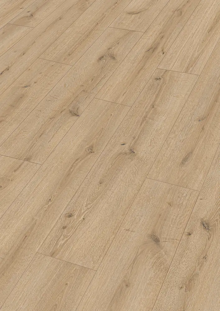 [400001-1287220-07120] MeisterDesign. comfort DD600 S (Turmeiche creme 07120)
