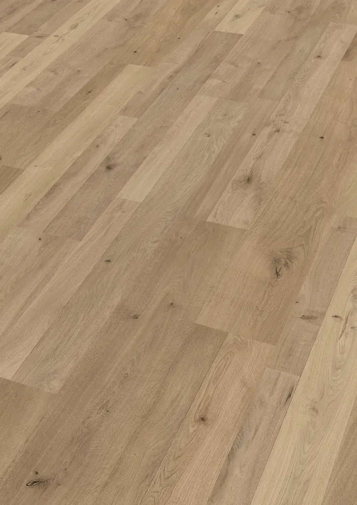 MeisterDesign. laminate LC 55 S  - Dekor: Natural Oak 06675