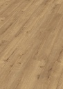 [600002-1288244-07001] MeisterDesign. laminate LD 250 (Eiche Champagner 07001)