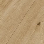Meister Dekorbezeichnung: Eiche Springdale 07395